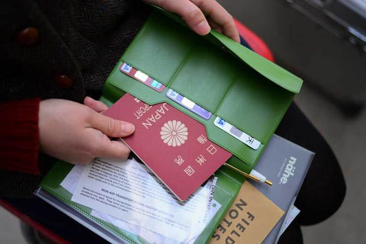 millenotes-nahe-travel-organiser-green-2