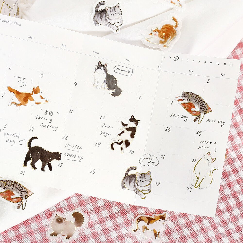 Washi Stickers | BGM | IPPAI | Chats - BGM - millenotes
