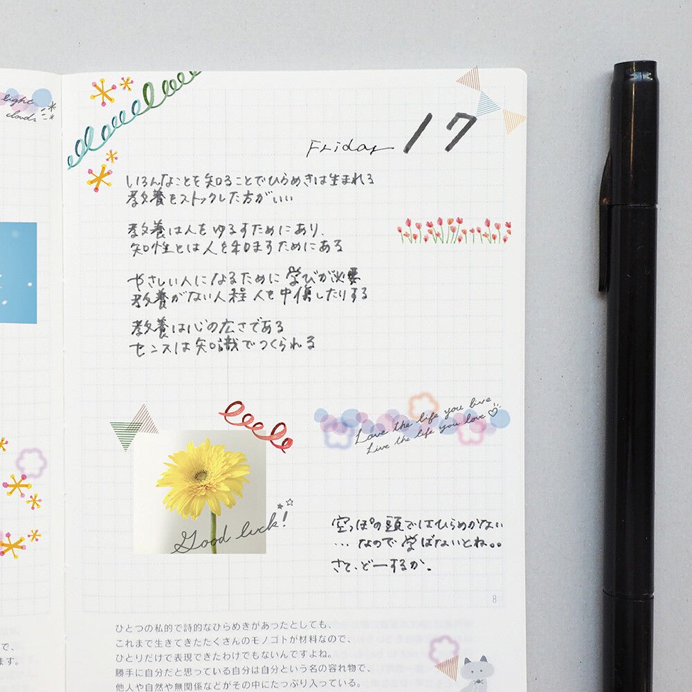 Ruban décoratif Déco Rush | Chat - Déco Rush - millenotes