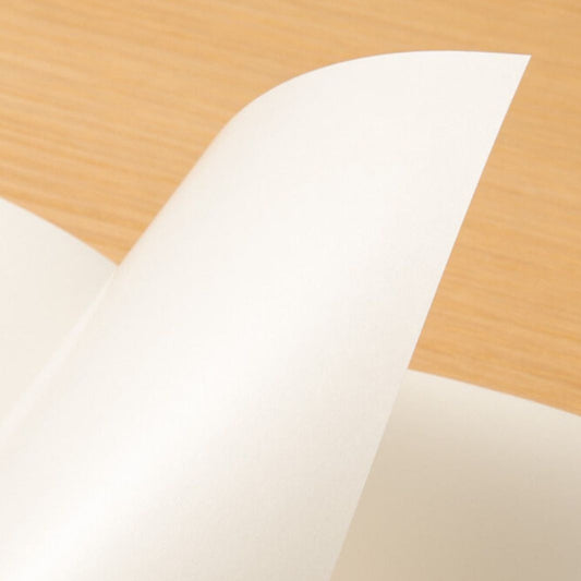 TRAVELER'S NOTEBOOK Recharge 031 Carnet à stickers (Classique) - TRAVELER'S COMPANY - millenotes