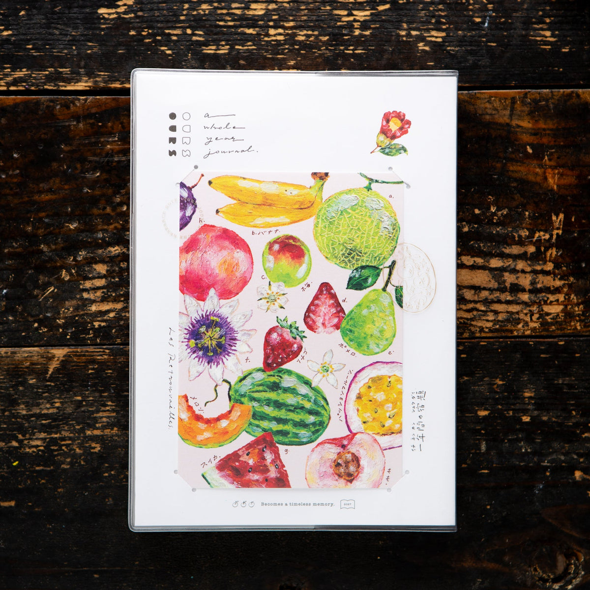 Ours studio postcard set 3