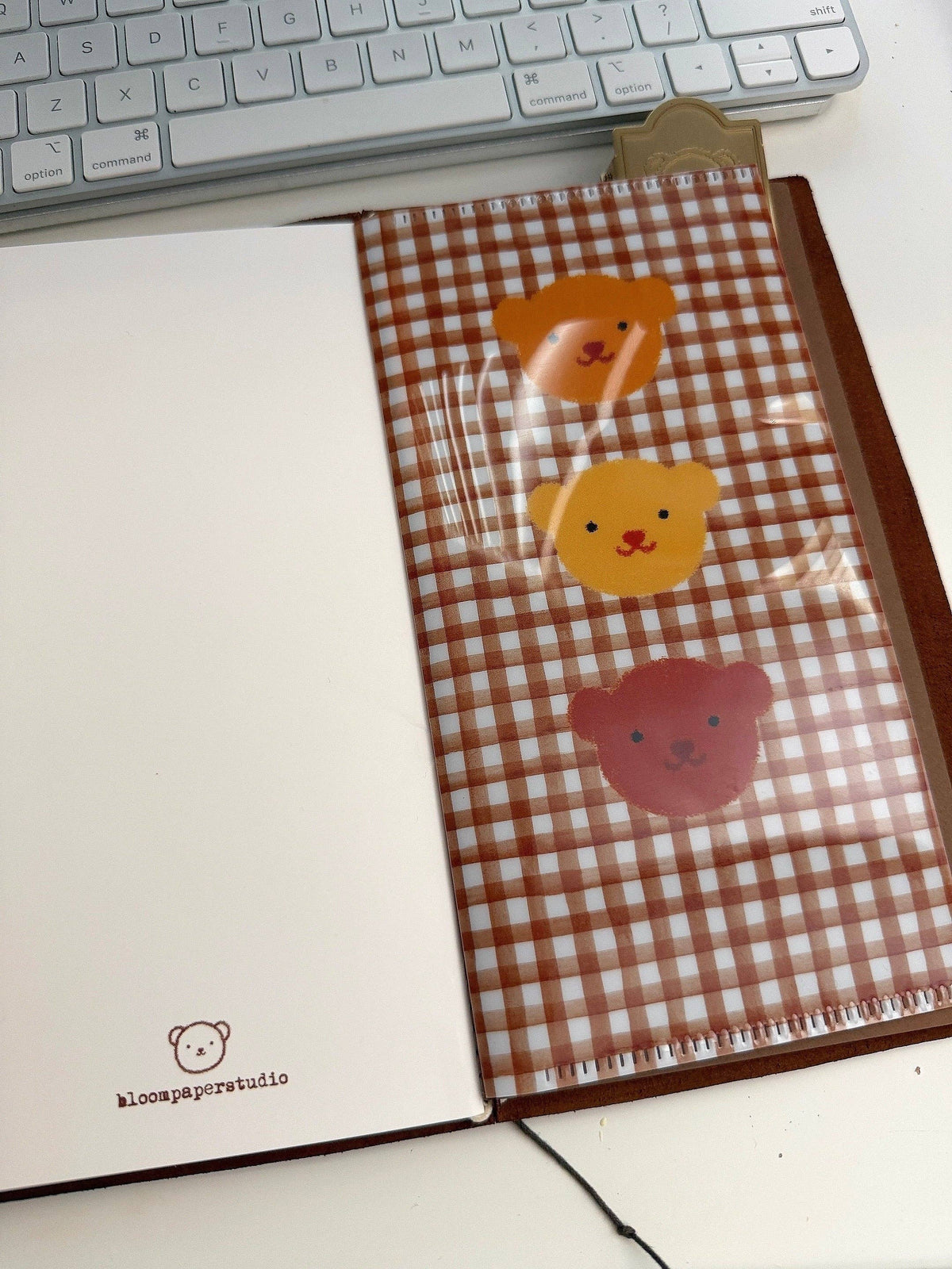 Clear folder | Bloom Paper Studio | Three Little Bears