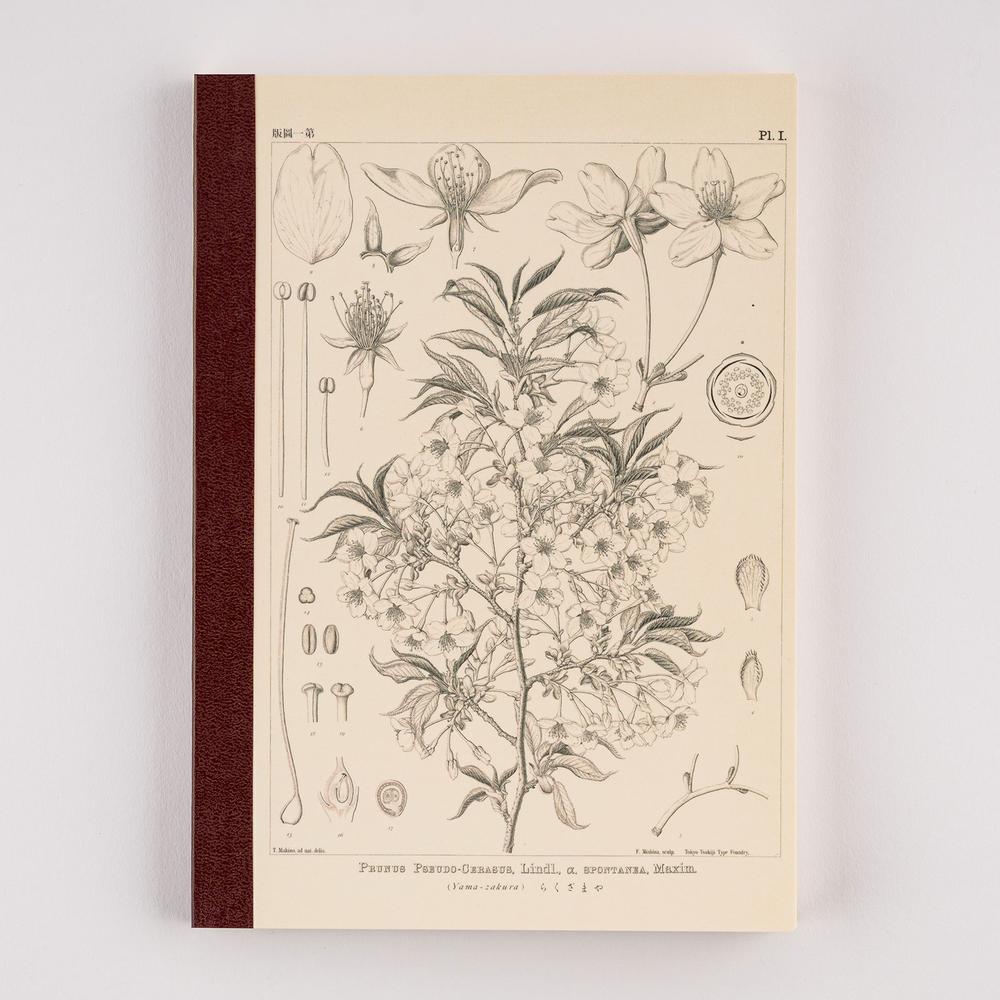 Carnet de notes | Hobonichi x Tomitaro Makino | Yamazakura – A5 & A6 - Hobonichi Techo - A5 - millenotes