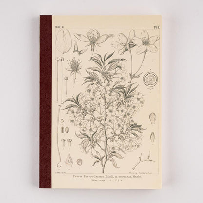Carnet de notes | Hobonichi x Tomitaro Makino | Yamazakura – A5 & A6 - Hobonichi Techo - A5 - millenotes