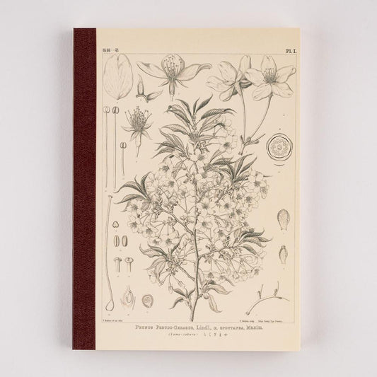 Carnet de notes | Hobonichi x Tomitaro Makino | Yamazakura – A5 & A6 - Hobonichi Techo - A5 - millenotes