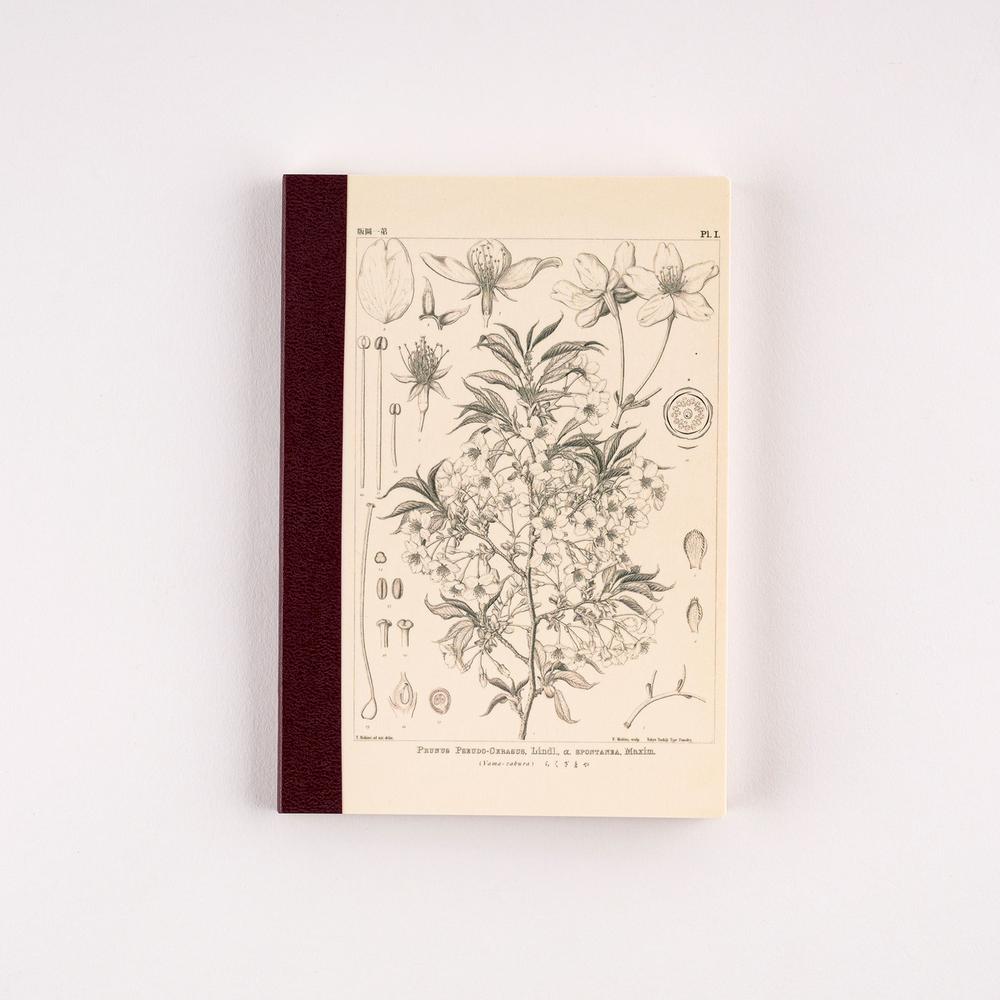 Carnet de notes | Hobonichi x Tomitaro Makino | Yamazakura – A5 & A6 - Hobonichi Techo - A6 - millenotes