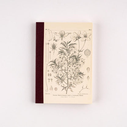 Carnet de notes | Hobonichi x Tomitaro Makino | Yamazakura – A5 & A6 - Hobonichi Techo - A6 - millenotes