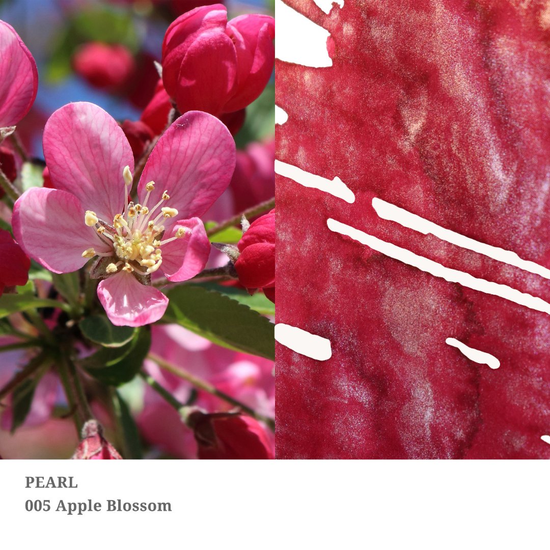 Encre d'écriture Dominant Industry | Apple Blossom - Dominant Industry - millenotes