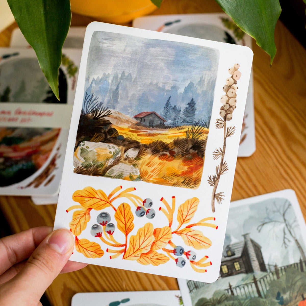 Lot de cartes postales | Wild Pencil Studio | Autumn Landscapes - Wild Pencil Studio - millenotes