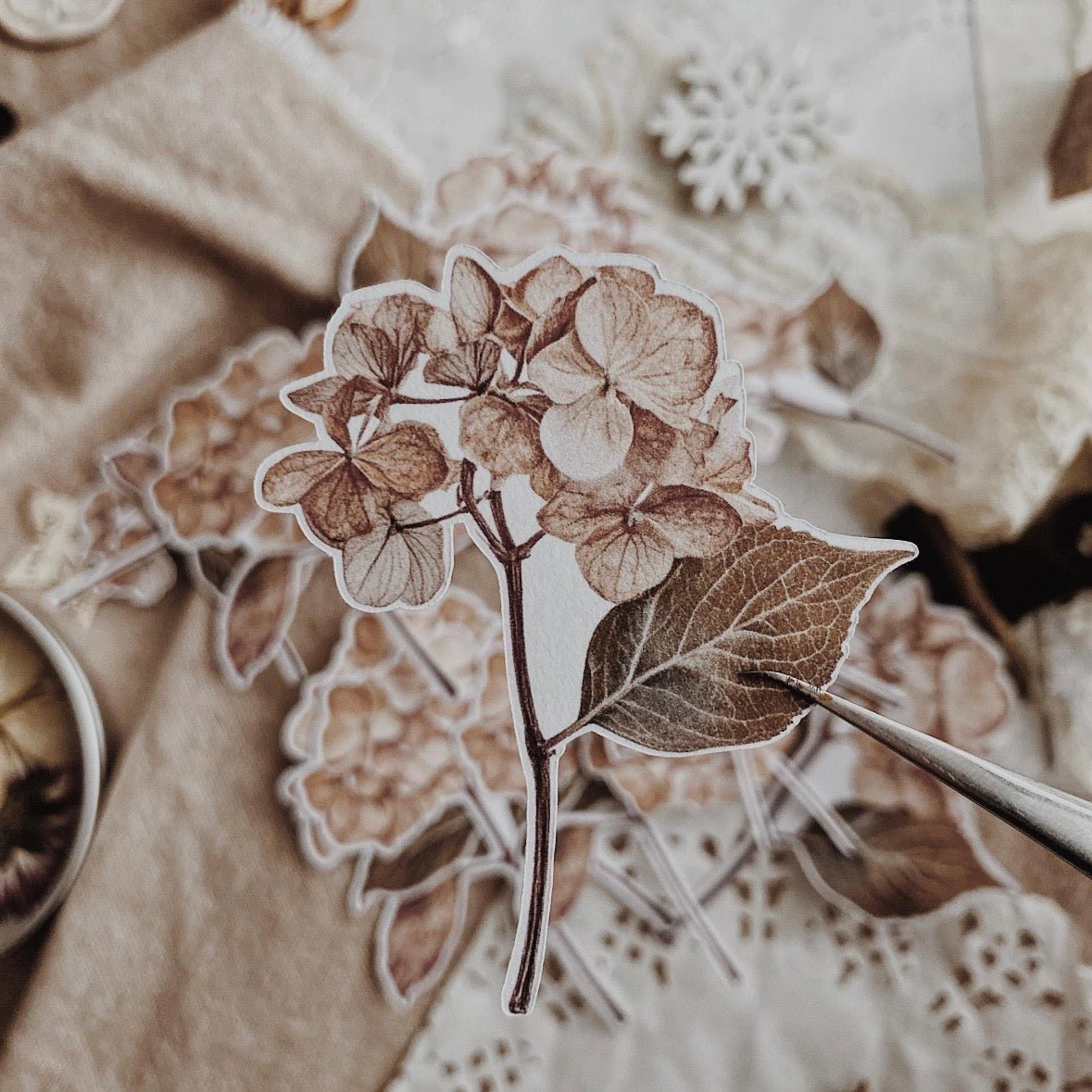 Lot de stickers découpés | Hortensias bruns - albumlovehandmade - millenotes