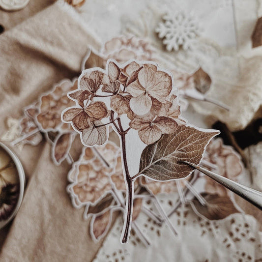 Lot de stickers découpés | Hortensias bruns - albumlovehandmade - millenotes