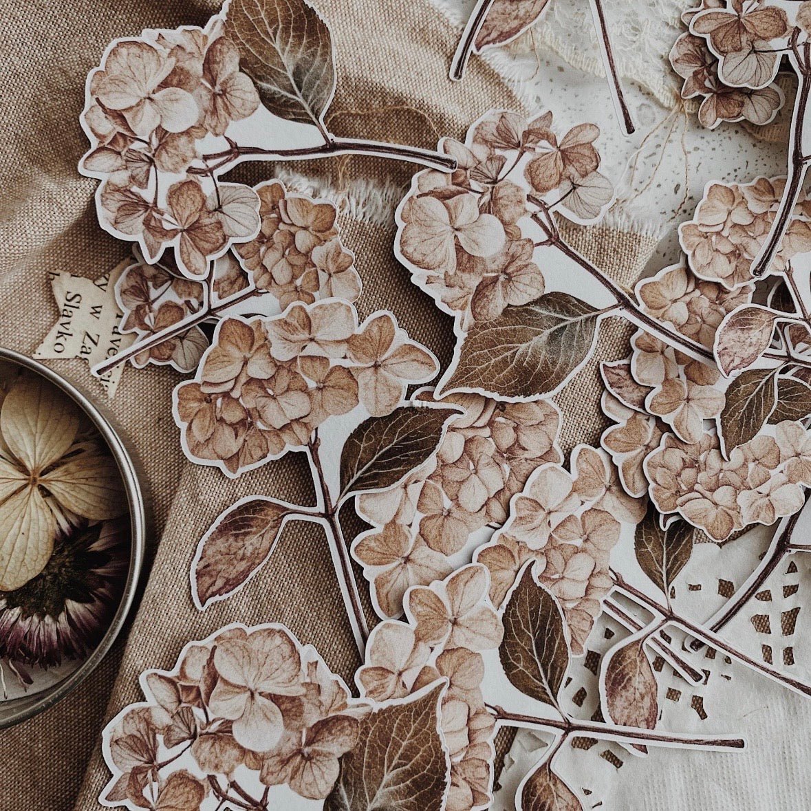 Lot de stickers découpés | Hortensias bruns - albumlovehandmade - millenotes