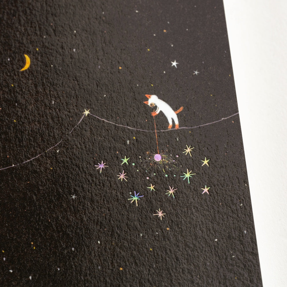 Carnet de notes | Hobonichi x Hiroko Kubota | Another Night of Falling Star Sparklers – A5 & A6