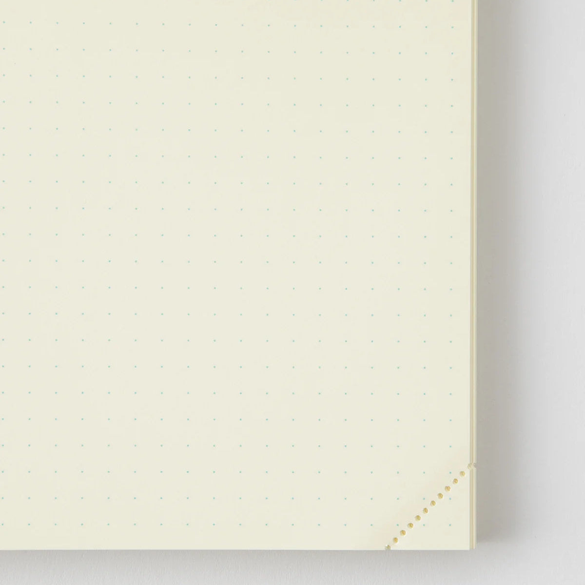 millenotes-md-notebook-codex-1day1page-a5-dot-3