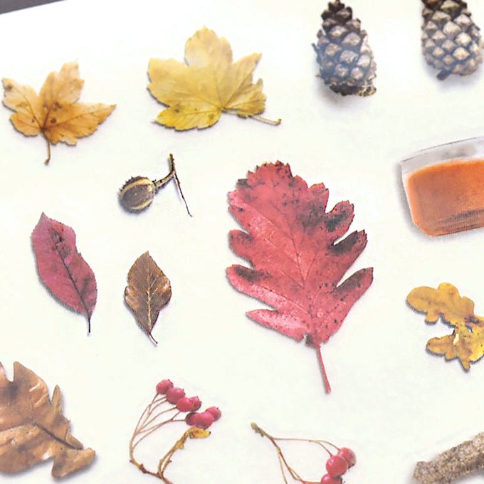 MU Lifestyle Print - On Stickers | Décalcomanies 139 Feuilles d'automne - MU Lifestyle - millenotes