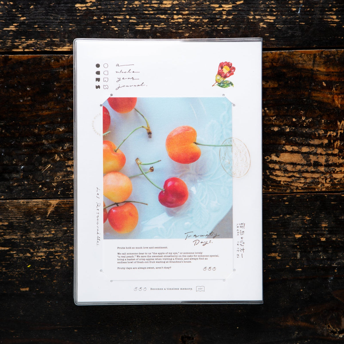 OURS Studio Agenda 2027 Journal Research Project | The Reunion - OURS Studio - millenotes
