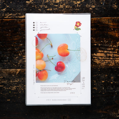 OURS Studio Agenda 2027 Journal Research Project | The Reunion - OURS Studio - millenotes
