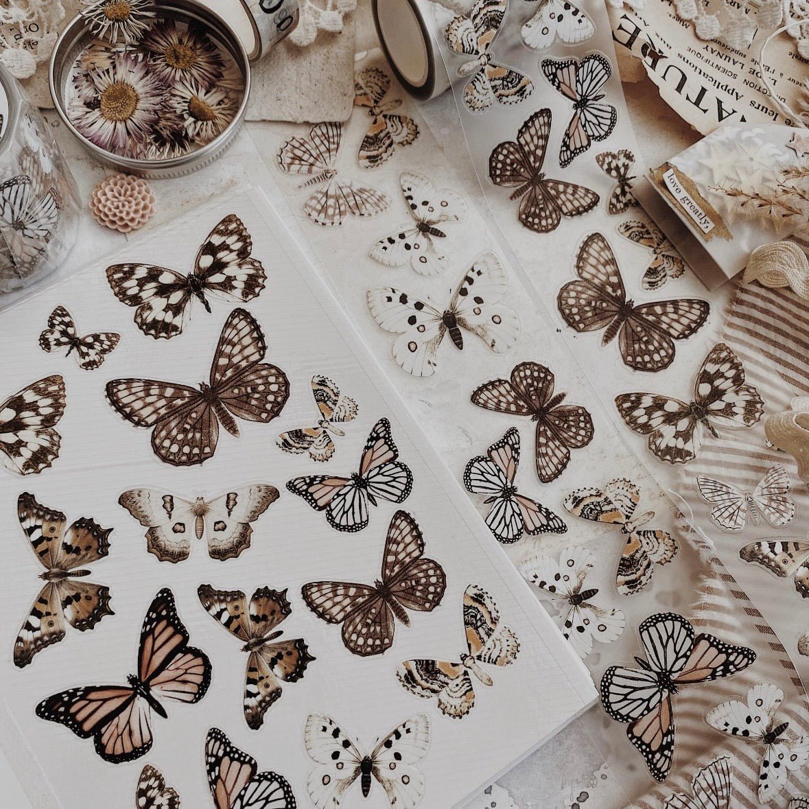 PET Kiss - cut masking tape | Papillons - albumlovehandmade - 5 m - rouleau complet - millenotes