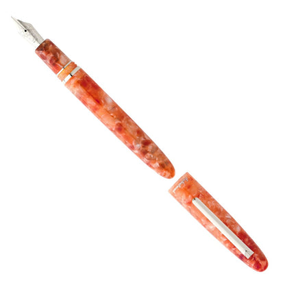 Stylo Plume Édition limitée Esterbrook | Petrified Forest Silver - Esterbrook - Moyenne - millenotes