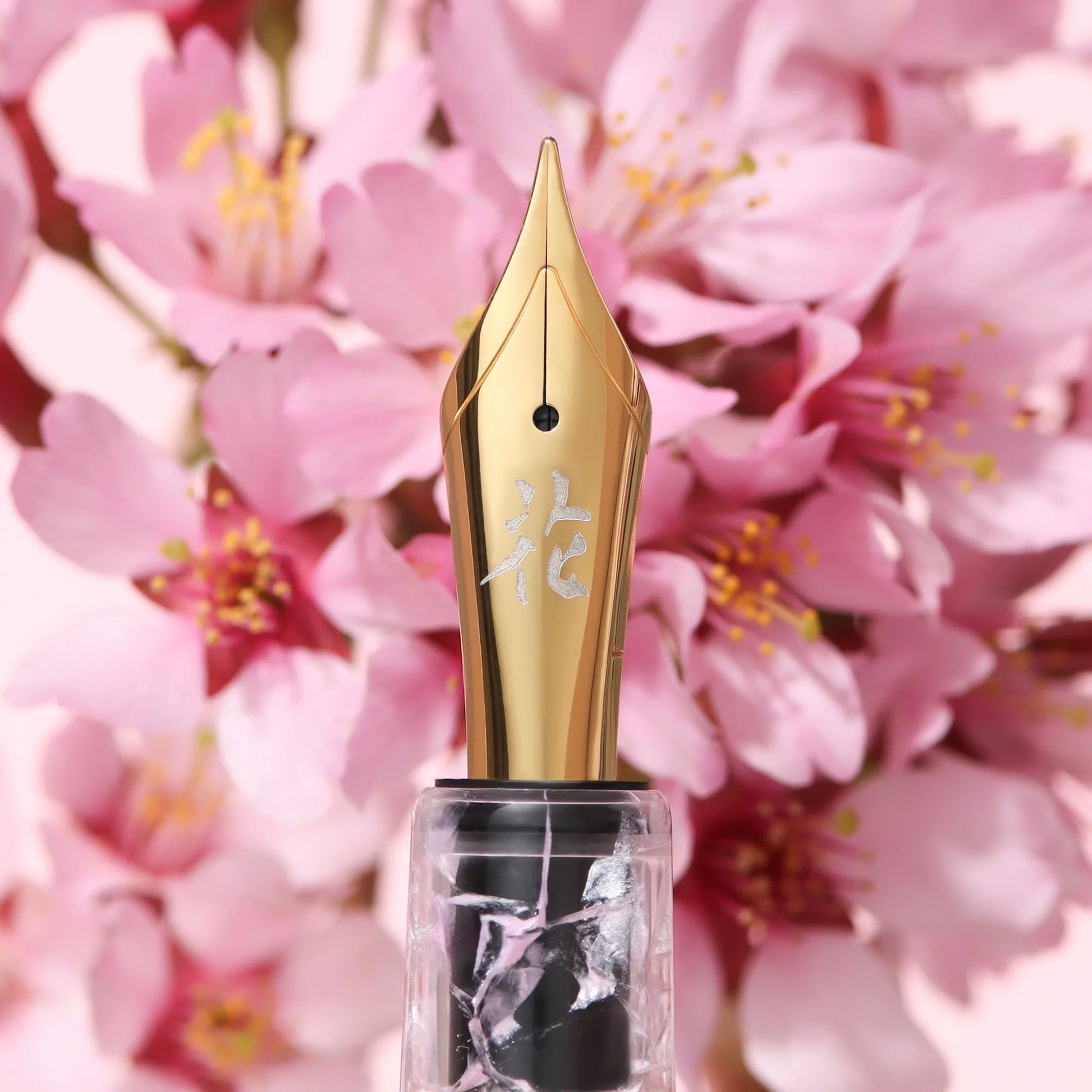 Stylo Plume Esterbrook x BUNGUBOX | Estie Kachofugetsu Flower - Esterbrook - Extra - fine - millenotes